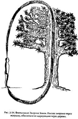 Практика с деревом и Энергией Земли - student2.ru