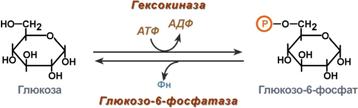 Превращение галактозы в глюкозу - student2.ru