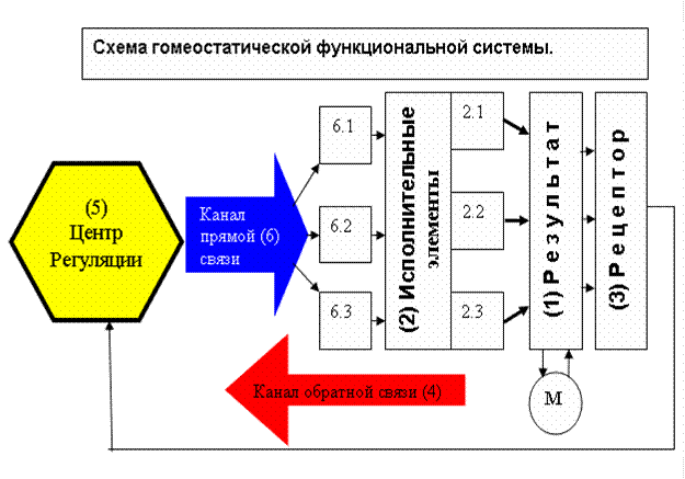 принципы организации и свойства фус - student2.ru