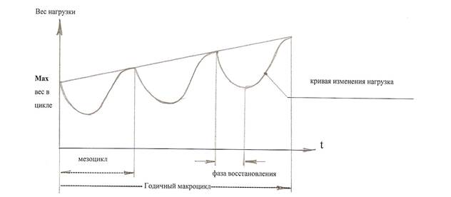 принципы построения годичного макроцикла - student2.ru