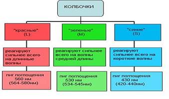 Природа мембранного потенциала покоя нейрона - student2.ru