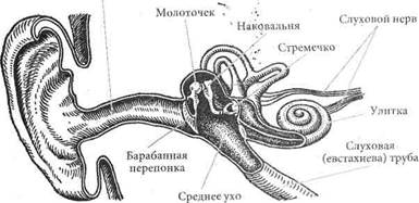 Профилактика нарушений зрения - student2.ru