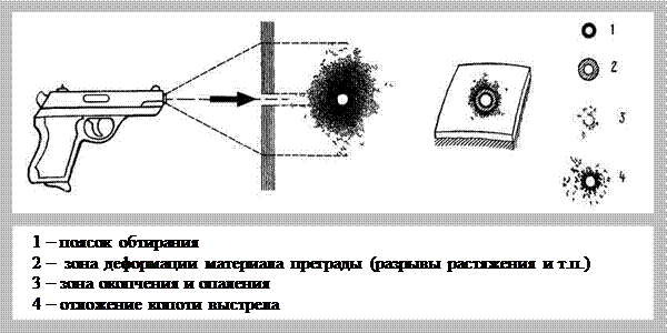 Протокол осмотра предмета. Нож состоит из клинка, рукояти и крестовины - student2.ru