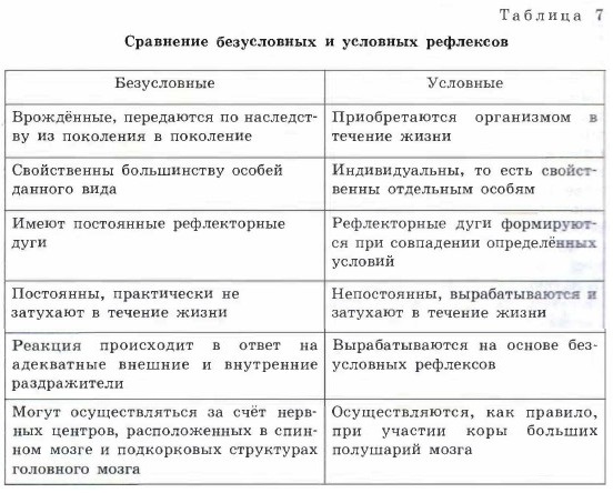 Психология и поведение человека. Высшая нервная деятельность - student2.ru