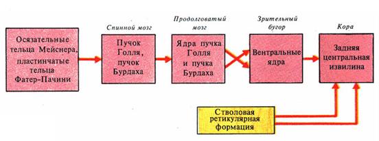 РАБОТА № 3 Температурные, последовательные образы - student2.ru