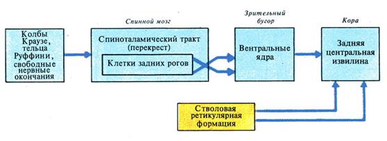 РАБОТА № 3 Температурные, последовательные образы - student2.ru