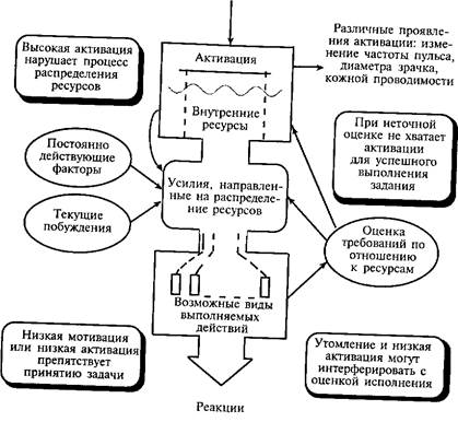 Различные источники изменения активации: тревога, страх, гнев, сексуальное возбуждение, мышечное напряжение, фармакологические вещества, сильная стимуляция и др- - student2.ru