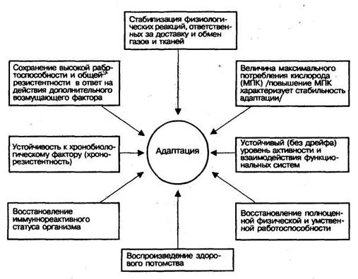 реакции на добавочные раздражения в условиях фаз адаптации - student2.ru