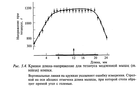 рефлекторный уровень организации движений - student2.ru