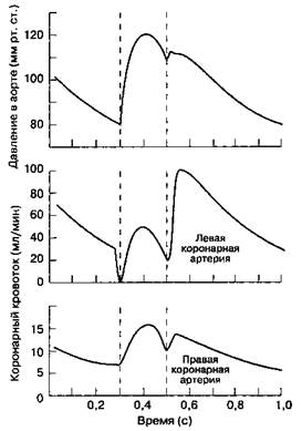 Регуляция коронарного кровотока - student2.ru