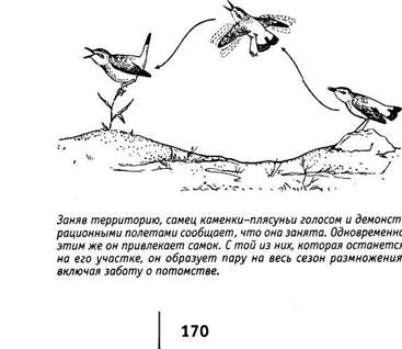 с точки зрения естественного отбора - student2.ru