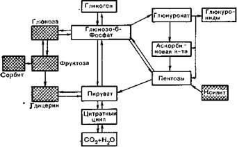 Сахара, многоатомные спирты - student2.ru