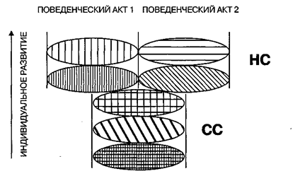 Структура и динамика субъективного - student2.ru