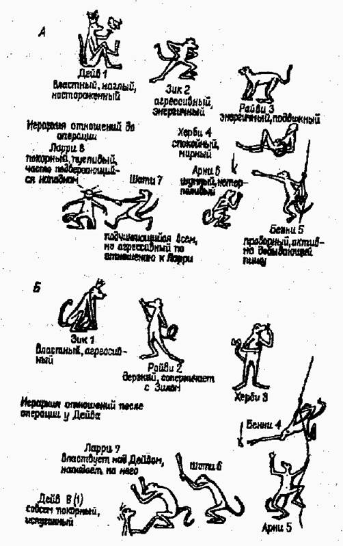 Структуры головного мозга, связанные с эмоциями - student2.ru