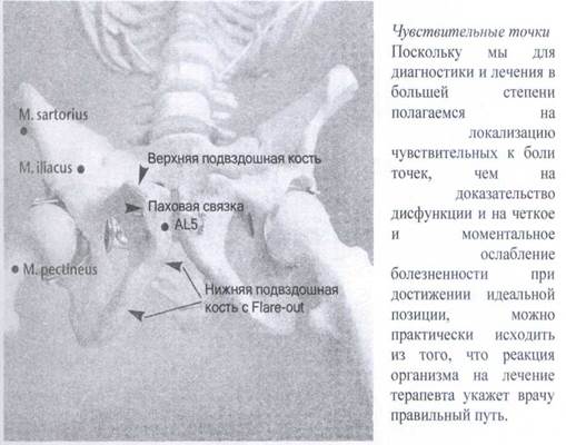 Суставы поясничного отдела позвоночника - student2.ru