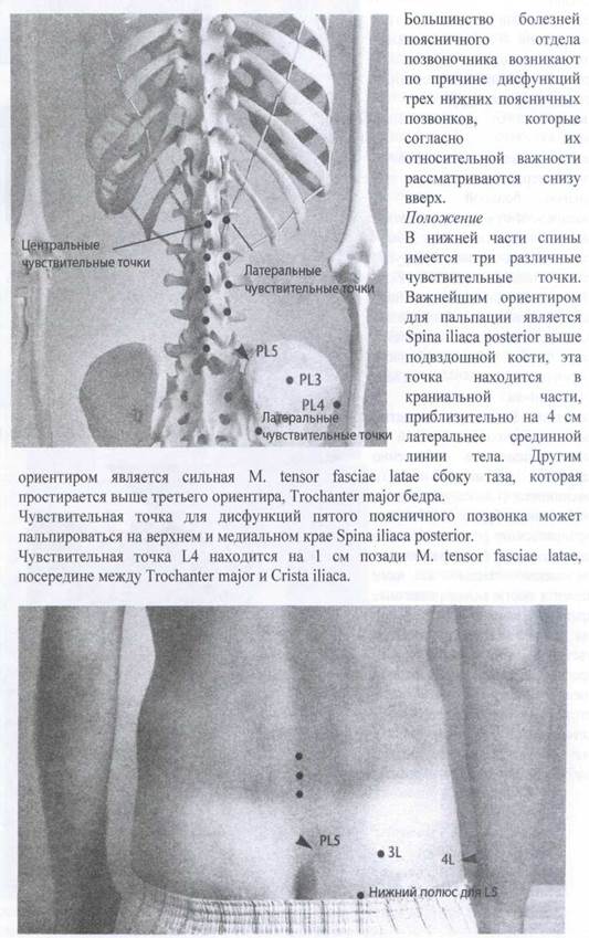 Суставы поясничного отдела позвоночника - student2.ru