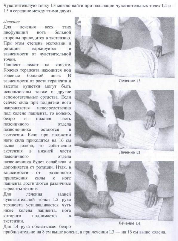 Суставы поясничного отдела позвоночника - student2.ru