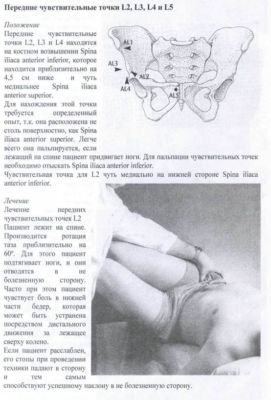 Суставы поясничного отдела позвоночника - student2.ru