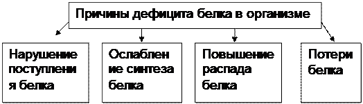 ТЕМА № 3 ПАТОФИЗИОЛОГИЯ БЕЛКОВОГО ОБМЕНА - student2.ru