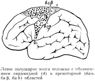 Уровень действий. Коррекции и автоматизмы - student2.ru