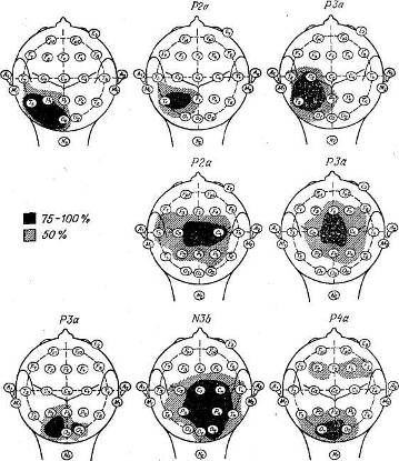 Усредненные вызванные потенциалы - student2.ru