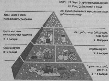 Устранение лишних стрессоров - student2.ru