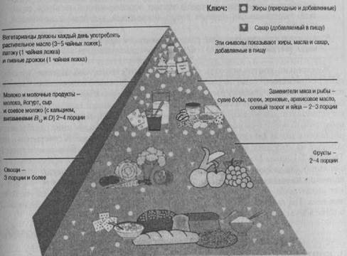 Устранение лишних стрессоров - student2.ru