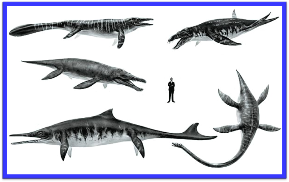 В костях тилозавров, живших 90–65 миллионов лет назад, обнаружены следы некрозов. Как правило, подобные патологии характерны для животных, погружающихся на большую глубину. - student2.ru