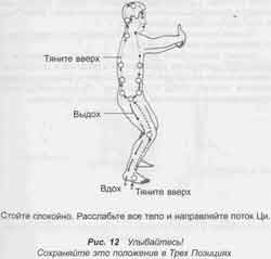 В. Третий этап: Накачивание энергии вверх через позвоночник в мозг - student2.ru