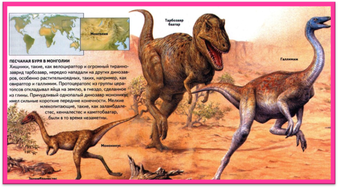 В засушливых пустынях Монголии обнаружены самые богатые остатками динозавров напластования. В последние 80 лет из мезозойских осадочных пород извлечены тысячи экземпляров древних существ. - student2.ru