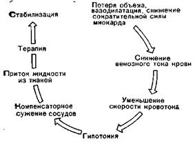 вагусная фаза (холодная кожа, гипотония, брадикардия) - student2.ru