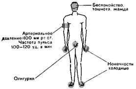 вагусная фаза (холодная кожа, гипотония, брадикардия) - student2.ru