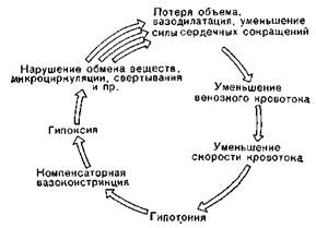 вагусная фаза (холодная кожа, гипотония, брадикардия) - student2.ru