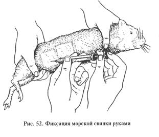 вирулентности и факторов патогенности микроорганизмов - student2.ru