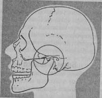 Височно-нижнечелюстной синдром - student2.ru