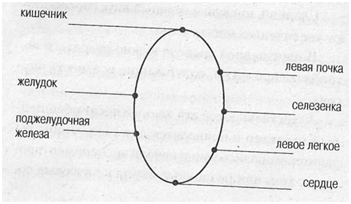 Воздействие различных вкусовых ощущений на организм человека - student2.ru