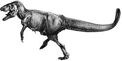 Второе семейство меловых карнозавров – неовенаториды. Сюда входят не столь огромные животные, от 4.2 до 9 м в длину и до 4 т весом. Это были не увеличенные, а уменьшенные версии аллозавров. - student2.ru