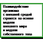 Выработка двигательных навыков - student2.ru