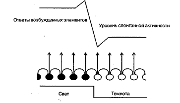 Взаимодействие сенсорных систем - student2.ru