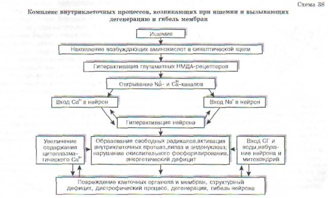 Экспериментальные и клинические проявления растормаживания - student2.ru