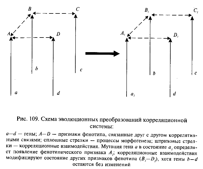 Эволюционные преобразования корреляционных систем - student2.ru