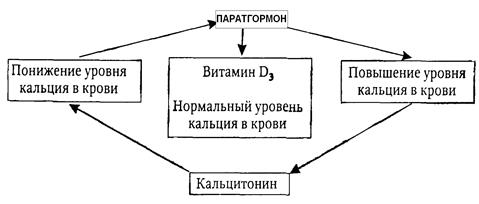 Йоддефицитное заболевание (эндемический зоб) - student2.ru