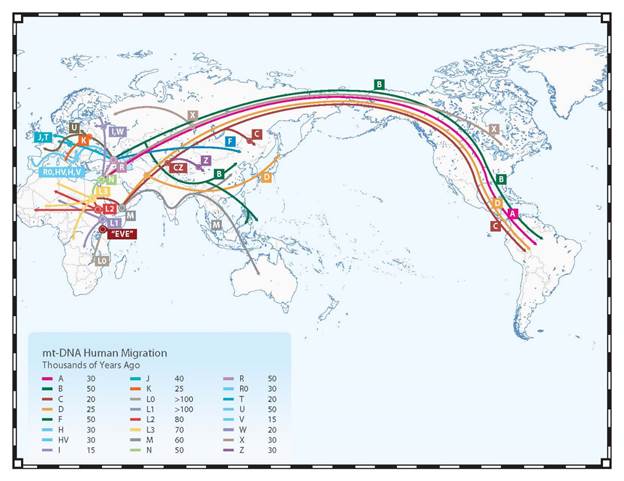 Карты распространения гаплогрупп (мтДНК и Y-ДНК) и их возраст. Данные FamilyTreeDNA. - student2.ru
