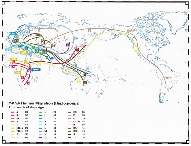 Карты распространения гаплогрупп (мтДНК и Y-ДНК) и их возраст. Данные FamilyTreeDNA. - student2.ru