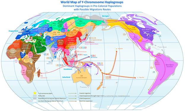 Карты распространения гаплогрупп (мтДНК и Y-ДНК) и их возраст. Данные FamilyTreeDNA. - student2.ru