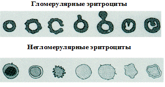 Лабораторные методы исследования - student2.ru