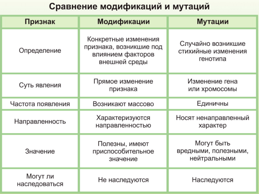 мутационная изменчивость - student2.ru