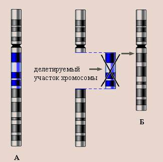 мутационная изменчивость - student2.ru