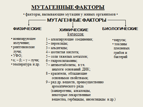 мутационная изменчивость - student2.ru