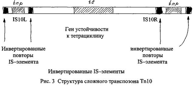 Предмет генетики микроорганизмов, её связь с другими биологическими науками. - student2.ru